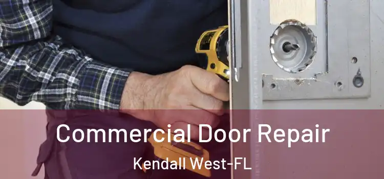  Commercial Door Repair Kendall West-FL