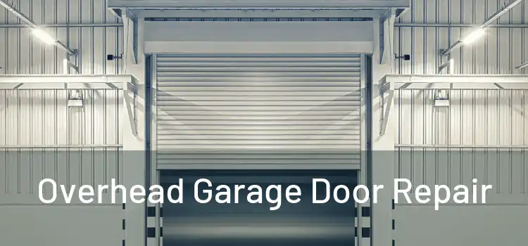  Overhead Garage Door Repair 